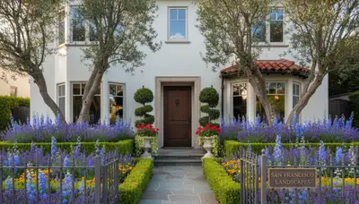 Front yard landscape design with colorful plants and shaped shrubs in San Francisco, CA