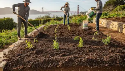 Professional applying organic compost to enrich garden soil in San Francisco, CA landscaping project