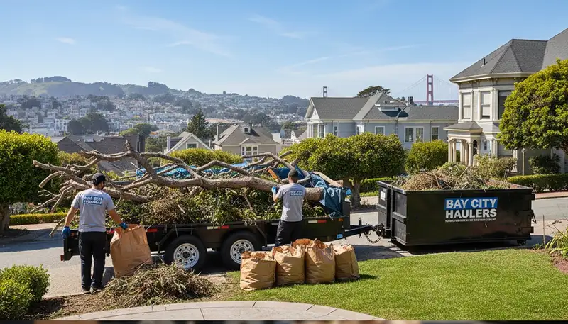 Professional storm debris and yard cleanup crew clearing branches in San Francisco, CA property